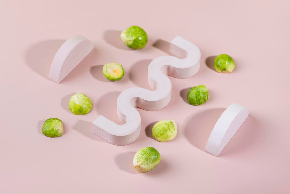 hormonal balance body regulation illustration