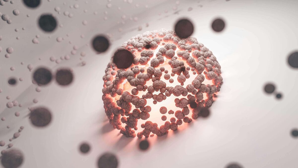 how to increase atp production mitochondria cellular energy